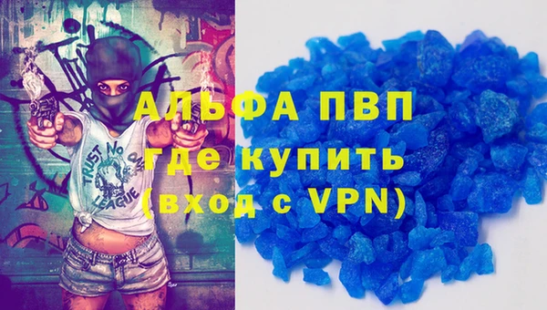 ECSTASY Богородск