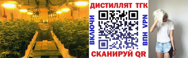 Дистиллят ТГК гашишное масло  Ивдель 
