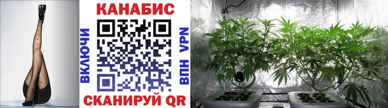 Каннабис конопля  купить закладку  Ивдель 